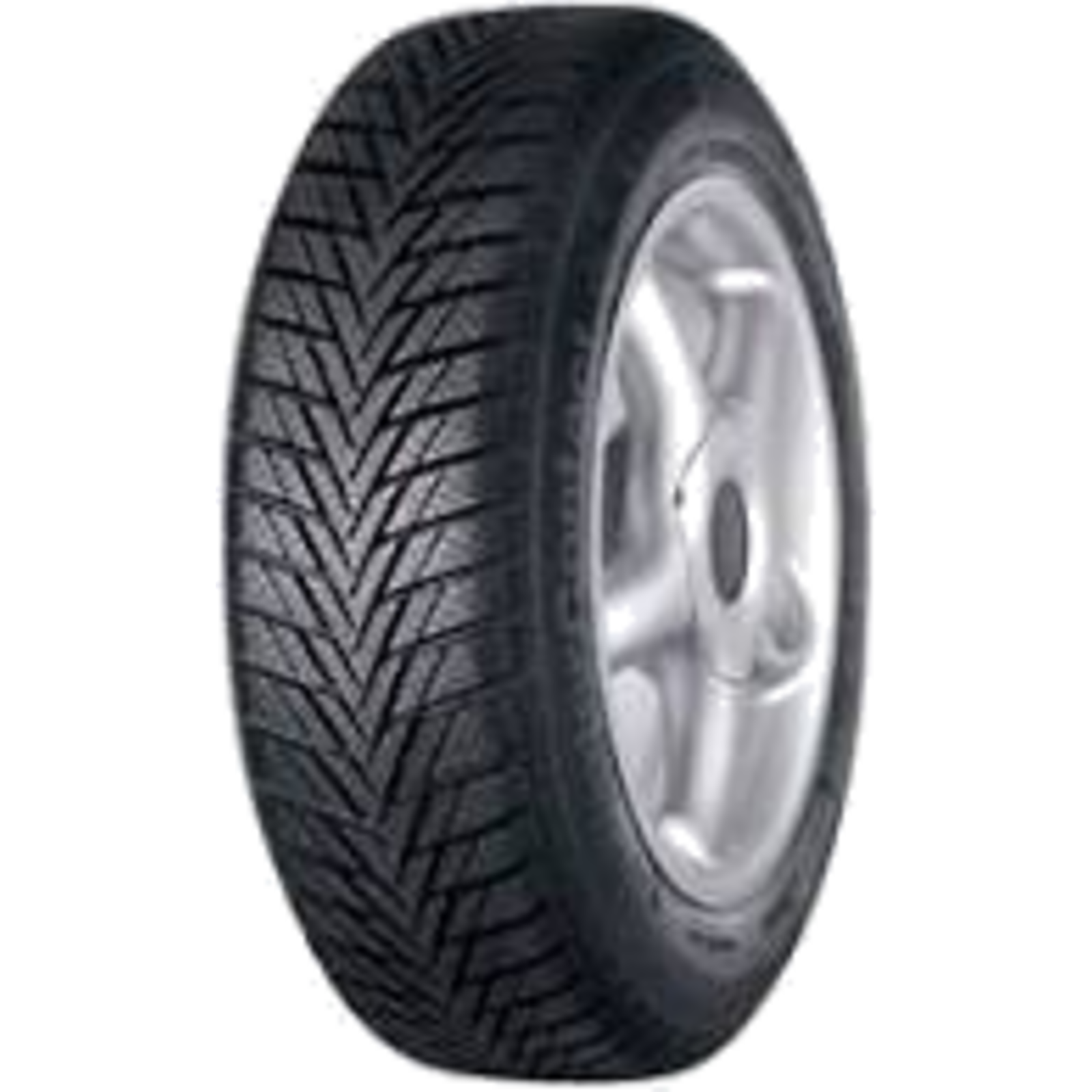 ContiWinterContact TS 800