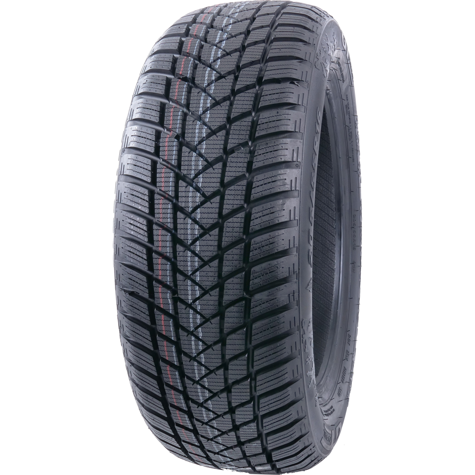 CHAMPIRO WINTERPRO 2