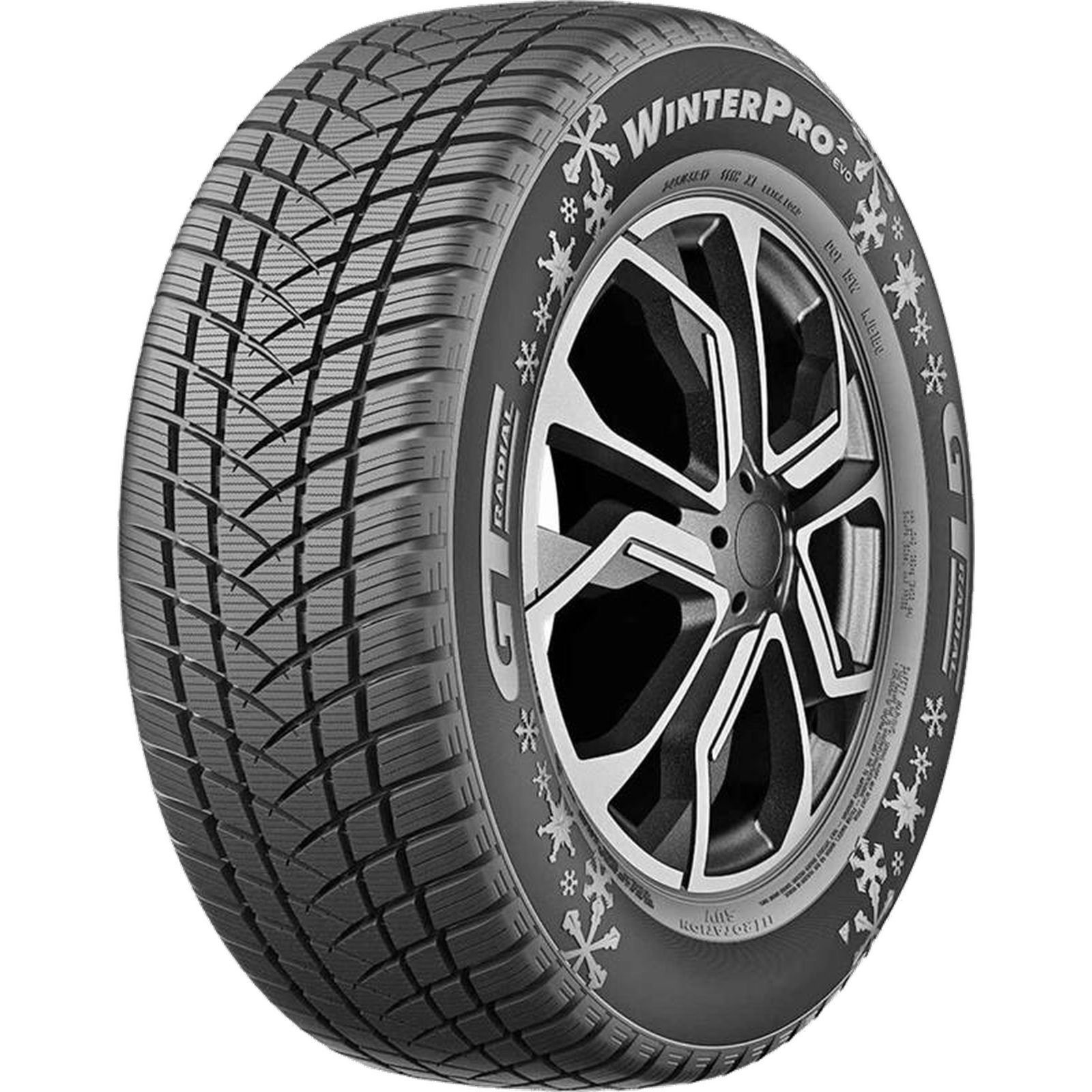 WINTERPRO2 EVO