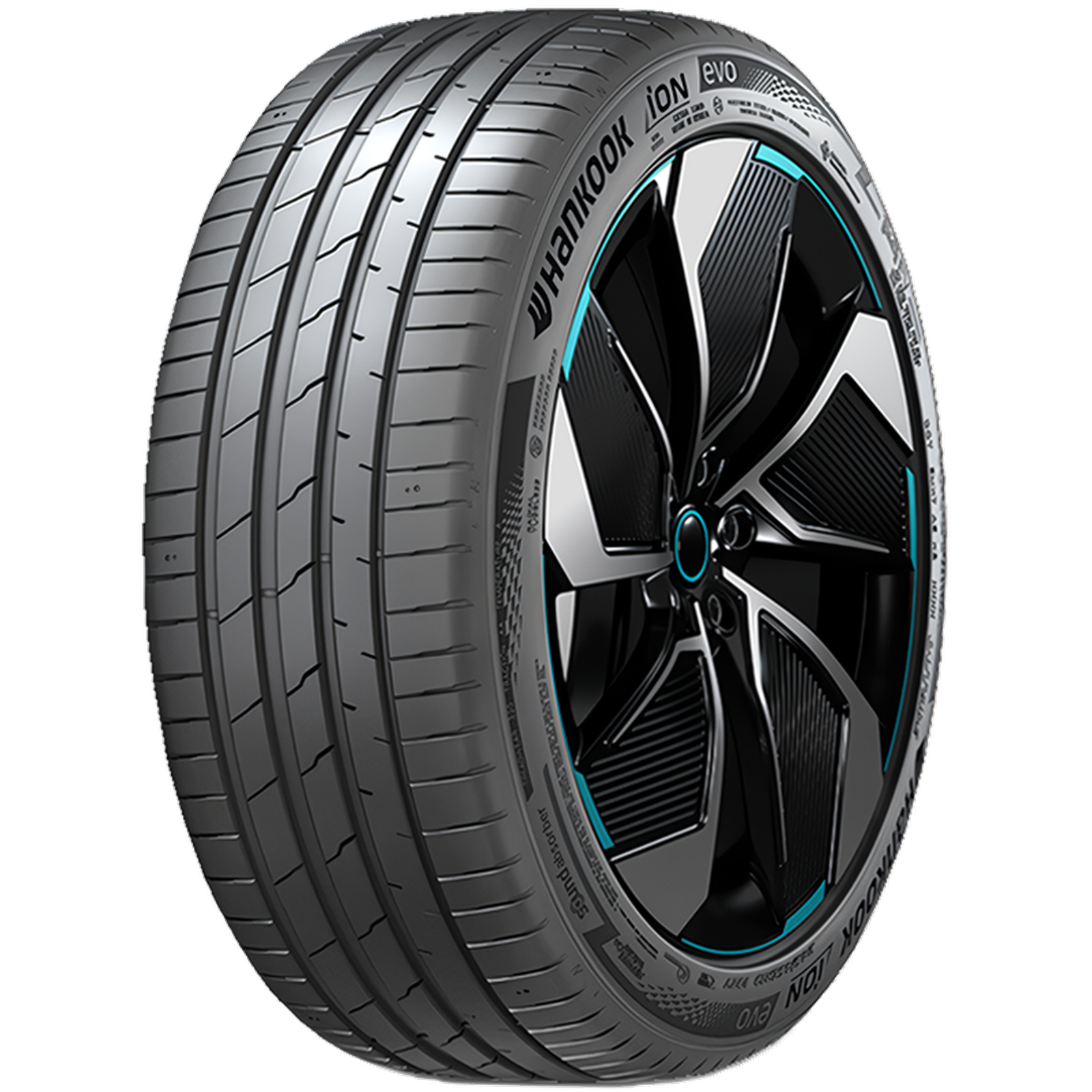iON evo R IK31