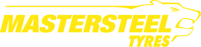 Logo Master-Steel