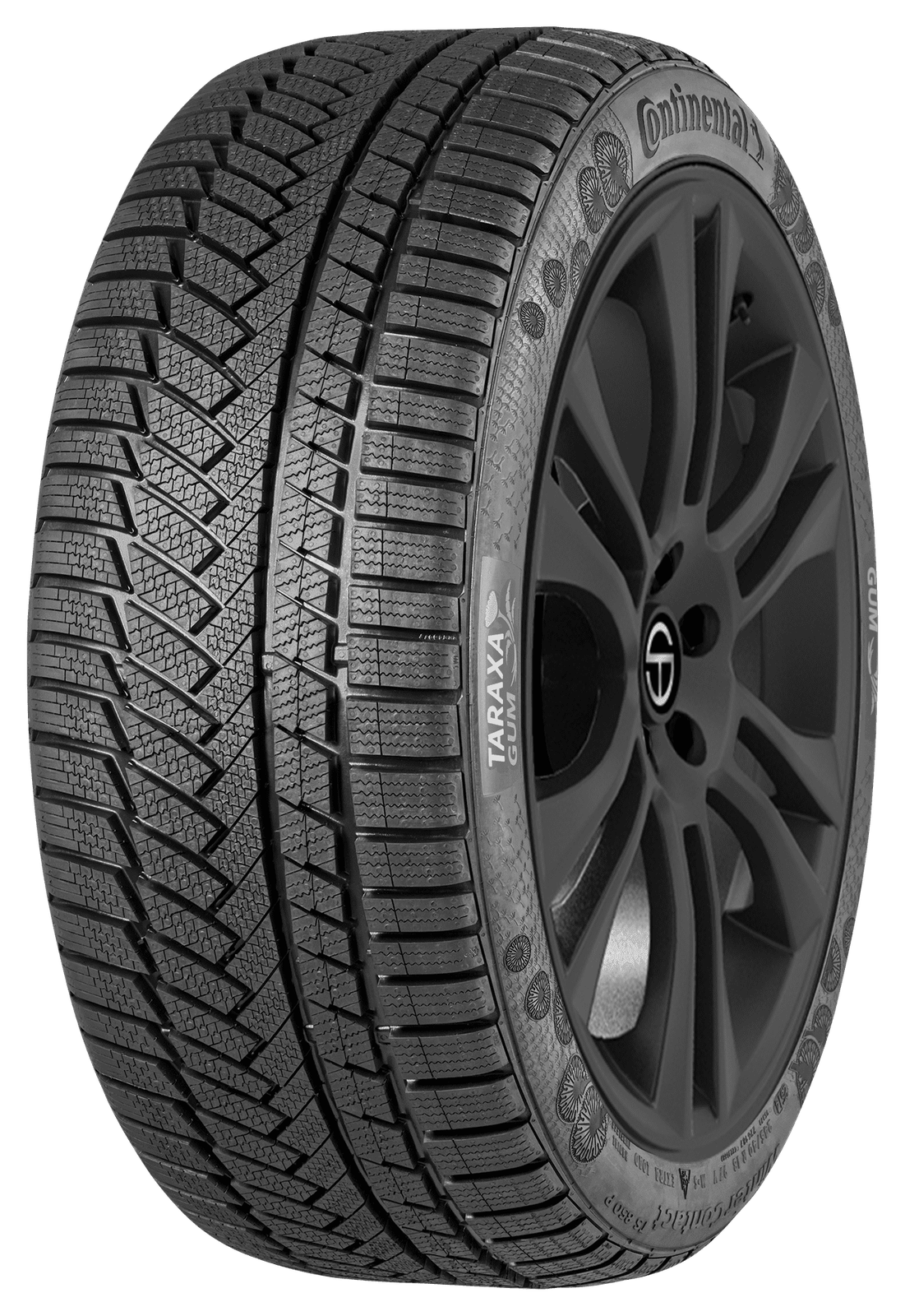 ContiWinterContact TS850