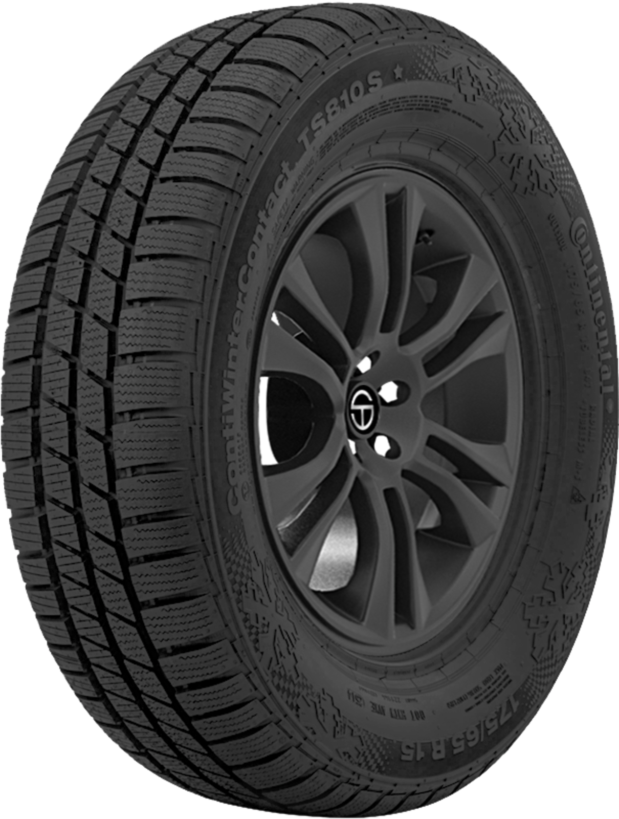 ContiWinterContact TS 810 S