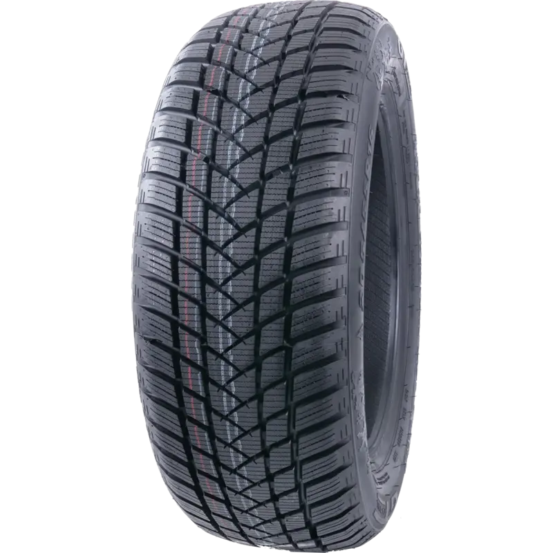 GTRadial WINTERPRO2