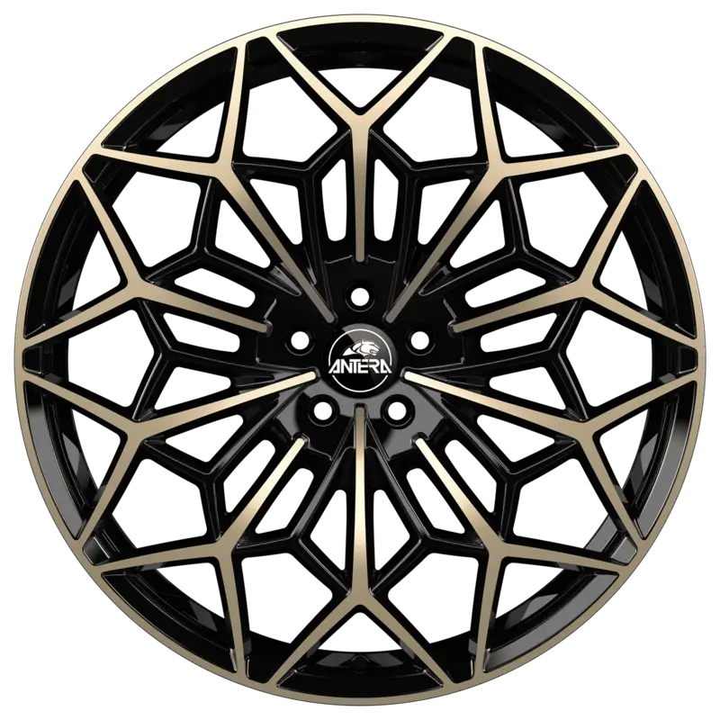 Antera A105 Piano Black Champagne