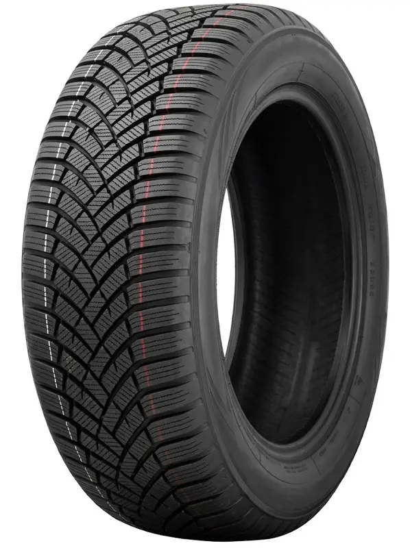Toyo Observe EWS1