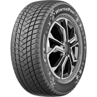 GTRadial WINTERPRO2 EVO 1