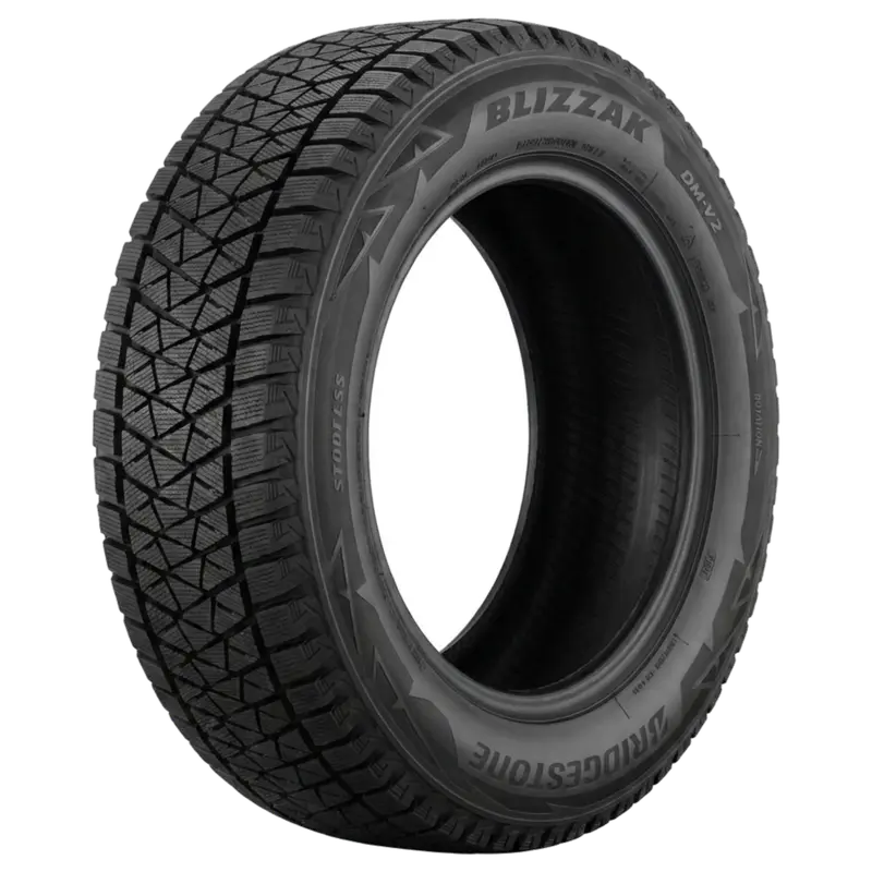 Bridgestone BLIZZAK DM-V2
