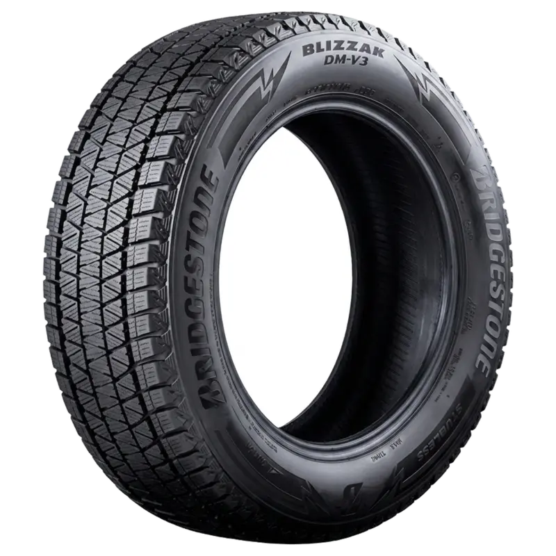 Bridgestone BLIZZAK DM-V3