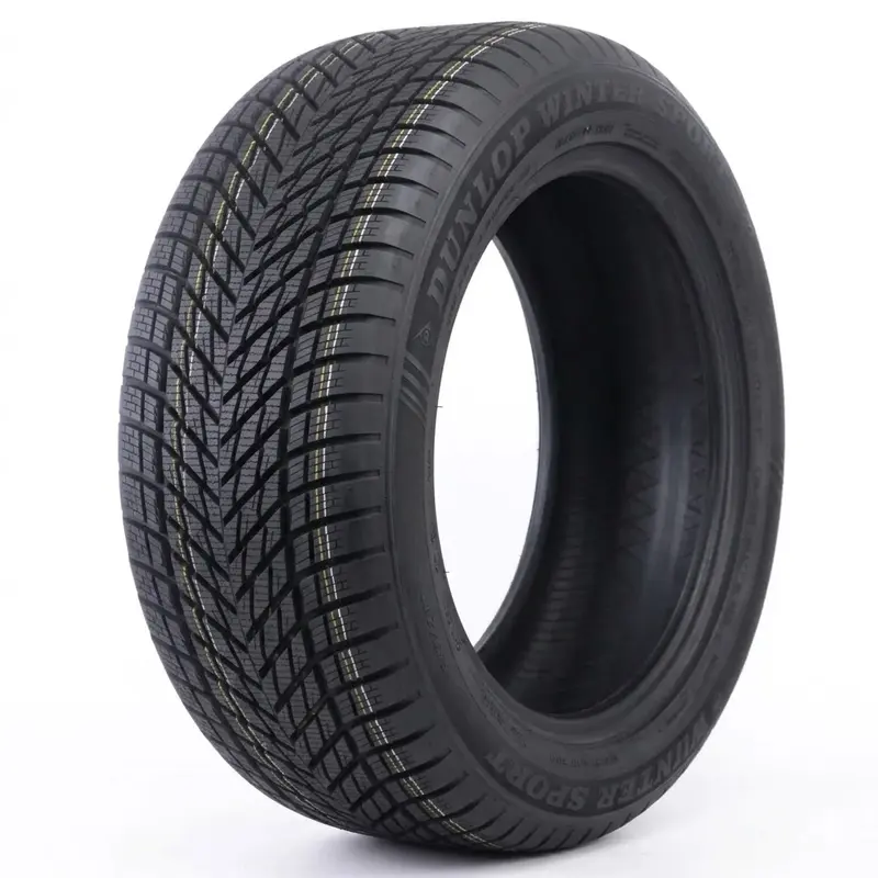 Dunlop WINTER